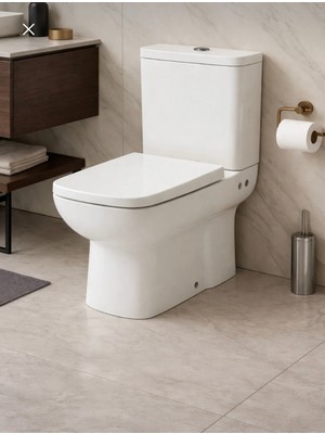  duvara sıfır klozet tam set ( kapak+ıç takım dahil ) kanalsız rimless ve soft kapak