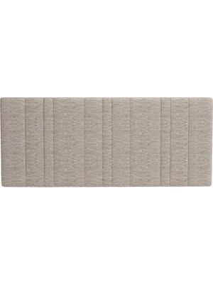 Kelebek Lionte Geniş Başlık