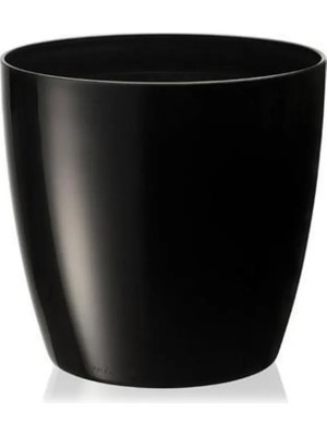 1no Saksı 0.68LT ROYALEKS-YK01