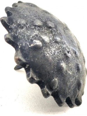 Uravas Store Lounge Antika Tarz Dekoratif Pirinç Yıldız Kabara - 42 Mm, Oksit