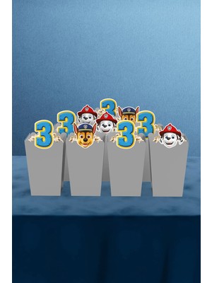 Paw Patrol Temalı 3 Yaş 10'lu Mısır Kutusu