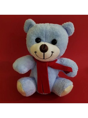 Asiltech Mavi Peluş Oyuncak Ayıcık