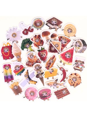 TT sticker 30 Adet Çılgın Kediler Sticker Set Bullet Journal Ajanda Laptop Tablet Telefon Etiket Çıkartma