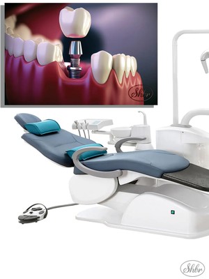 Şehzat Tekli, Yatay, Kanvas, Dekoratif, Duvar, Tablosu , Ağız Diş Sağlığı, Dişçi, Implant