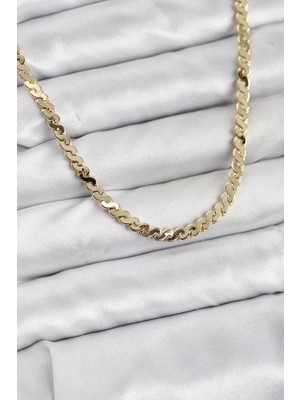 Uravas Store Pirinç Gold Renk Yassı Zincir Kadın Kolye - TJ-BKO10818