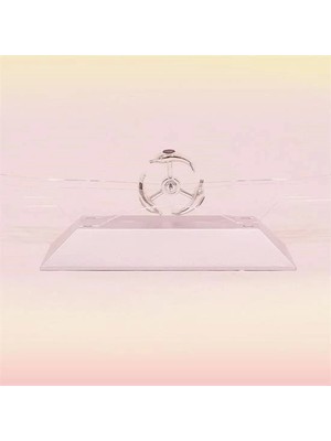 Buğz Dekoratif Masa Üstü Obje Manyetik Kinetik Orbital Dönen Yunuslar