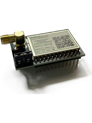 EGN Elektronik STR09RSH4 433MHZ/+20DBM Rf Mcu+Lora Transceiver Modülü (STM32WLE5X, Saw, Tcxo, Sma Rf Konnektör)
