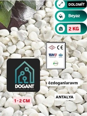 Dogant Beyaz Dolomit Dekoratif Taş Teraryum Taşı Saksı Taş 2 kg