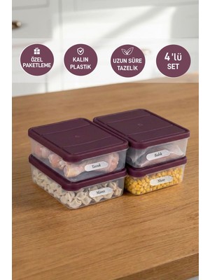Selka Home 4 Adet 0.5 Lt. Nora Organizer Buzdolabı Buzluk Düzenleyici Saklama Kabı