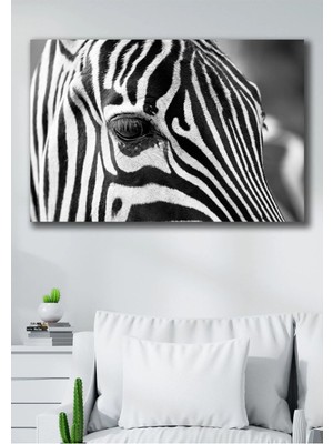 Şehzat Zebra Kanvas Duvar Tablo