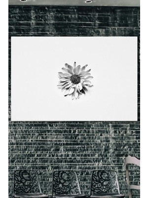 Şehzat Tournesol Kanvas Tablo