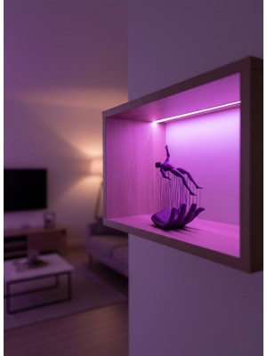 El Insan Figürü Mor - Lisinya