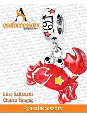 Sallantılı Yengeç Burcu Charm