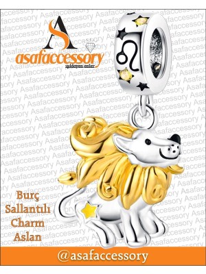 Aslan Burcu Figür Charm