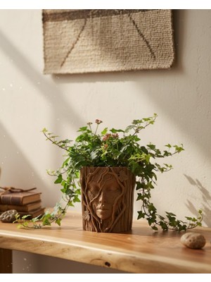 Ağaç Vazo - Lisinya