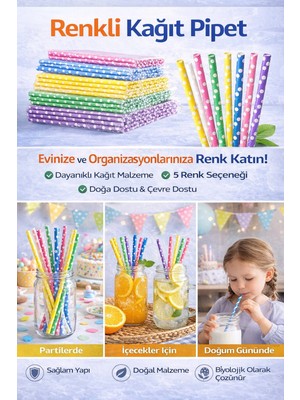 Bm House Bmhouse 5X10 Renkli Kağıt Pipet 5’li Set Parti Pipeti Doğum Günü Içecek Pipeti Çevre Dostu