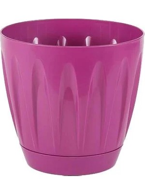 Serinova Papatya Tabaklı Saksı 3 Lt