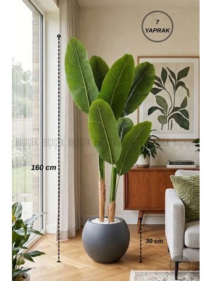 Biçiçek 160 cm Yapay Starlice Ağacı Küre Saksıda