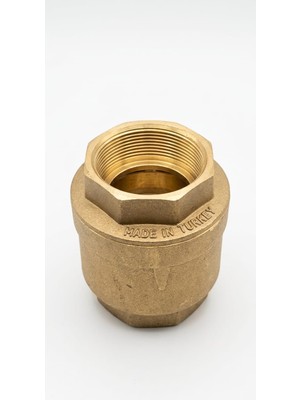 2'' Dikey Çekvalf Klepsan Pirinç