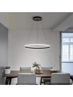 Neeko Robin Modern Tekli Siyah Sarkıt Avize Gün Işığı