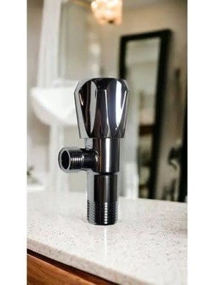 Esranın Dünyası Paslanmaz Çelik Taharet Musluğu (2 Adet)