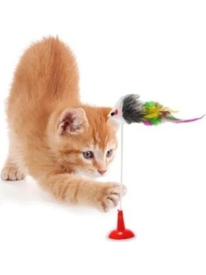 Esranın Dünyası Vantuzlu Hareketli Çanlı Eğlenceli Peluş Kedi Oyuncağı, 2'li Paket