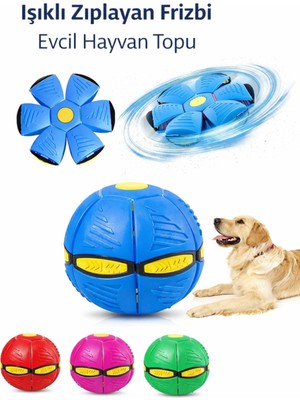 Vanckey Işıklı Köpek Topu Zıplayan Frizbi Oyuncak Aktivite & Eğitim Amaçlı Dayanıklı Materyal