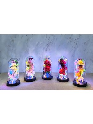 Marsilyan Işıklı Müzikli Cam Fanus Içinde Romantik Gül