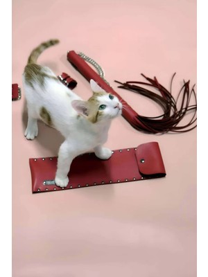 Esranın Dünyası Kırbaç - Kelepçe Set, Kırbaç Takım, Fantezi Kelepçe Takım - BRF1304