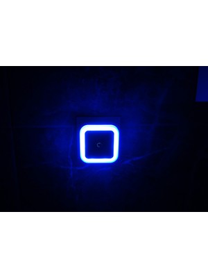 Cata Neselio 2 Adet Sensörlü Fişli Gece Lambası Led-4 RENK-FOTOSELLI-1W CT-9500