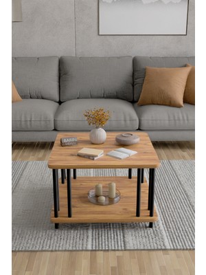 Barin Design Modern Kare Orta Sehpa Çift Katlı Siyah Metal Ayaklı Salon, Ofis, Dekoratif Masa