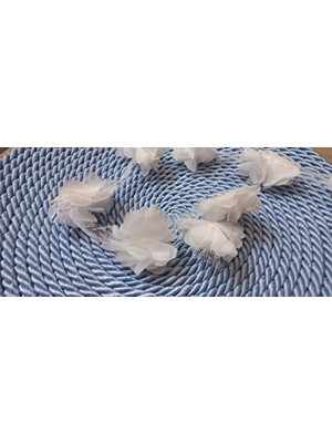 Teknocan Marketing - Beyaz Lazer Kesim Kurdele Çiçek Tül 1 Metre