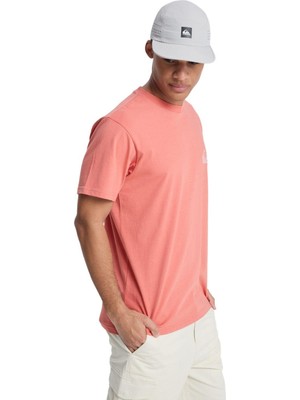 Quiksilver Ev Mını Logo Erkek Tişört EQYZT08181-QK.2020