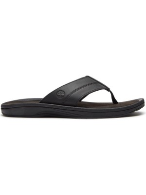 Timberland Originals Slıde Sandal Erkek Ayakkabısı TB0A2R4EENR1