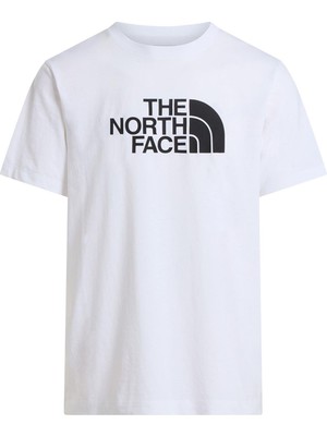 The North Face M Evolutıon Half Dome Regular Short Slee Erkek Tişört NF0A8B6JLA91