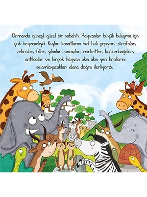 Teknocan Marketing Kral Olmak Istemeyen Aslan