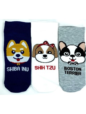 Al-Fil Teknoloji 3 Çift Sevimli Köpek Temalı Baskılı Yumuşak Kadın Bilek Çorap