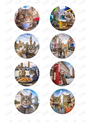 Teknocan Marketing Cats In London - Londra'da Kediler - Tek Sayfa 8 Set