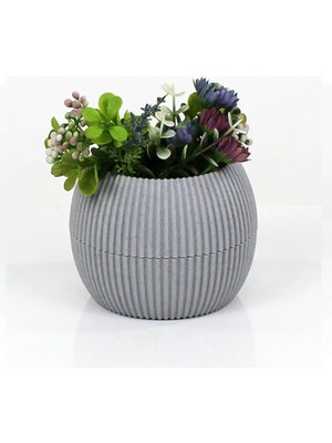 Al-Fil Teknoloji Mercan Saksı 2 Numara 0,35 Litre Su Hazneli Dekoratif Kaktüs Sukulent Saksı 11,8x9,2 cm