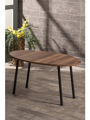 Savita Home Siyah Metal Orta Sehpa Elips - 90X50X42 cm