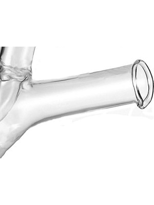 Vigordurus Eleton Mutfak Kutusu Sirke ve Yağ Şişesi, Biberlik Grape Cluster