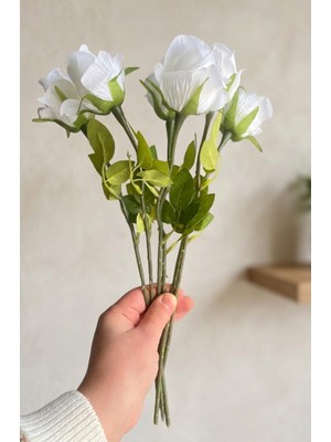 Yasima 6'lı Tek Dal Beyaz Islak Dokulu Gül Buketi 40 cm