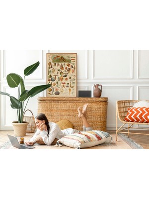 Pegziz Dekoratif  Sanatsal  Deniz Kabuğu Çeşitleri Çerçeveli Tablo