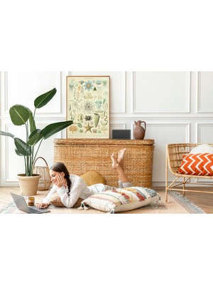 Pegziz Dekoratif Sanatsal Deniz Canlıları Vintage Çerçeveli Tablo