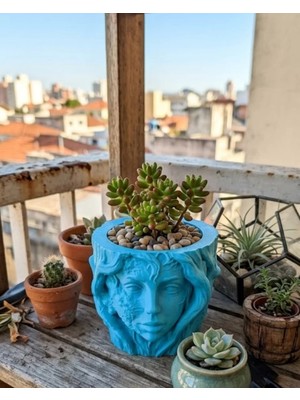 Minimalist Kadın Yüzü Heykel Tasarımlı 3D Dekoratif Saksı Vazo Veralya Tech
