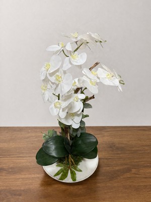 Lüks Beyaz Orkide Aranjmanı – Salon & Ofis Dekorasyonu