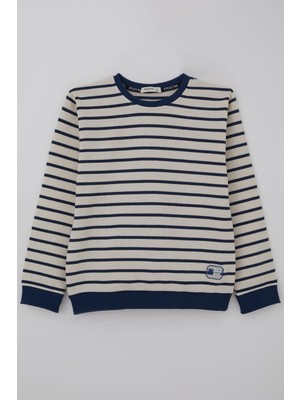 Breeze Erkek Çocuk Sweatshirt Arma Detaylı 4-10 Yaş, Ekru