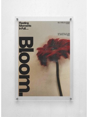 Lamazif Pleksi Cam Duvar Tablosu – “bloom” Tipografik Çiçek Temalı Modern Sanat Poster | Akrilik Tablo