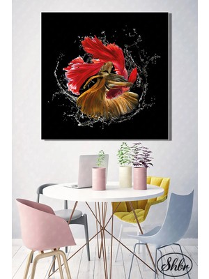 Şehzat Tekli Kare Kanvas Salon Yatak Odası Mutfak Ofis Duvar Tablosu Siyah Fon Beta Balığı Dansı