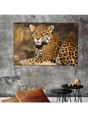 Şehzat Aslan Leopar Kanvas Tablo ASL-460-73